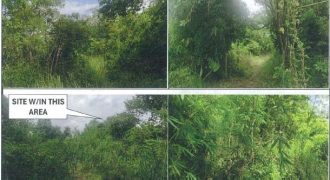 Foreclosed Agricultural Lot in Sofronio Española, Palawan · Lot 101 (PDIC)