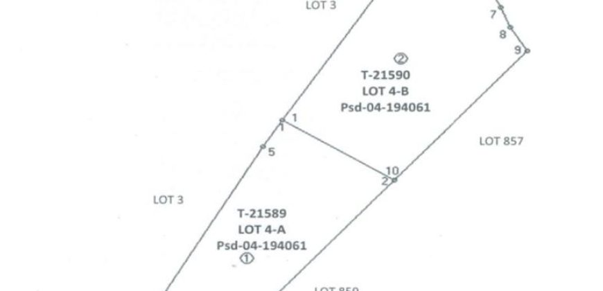 Foreclosed Agricultural Lot in Quezon City, Palawan · Lot 4-A (PDIC)