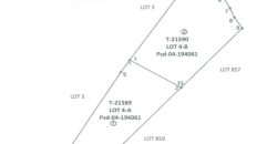 Foreclosed Agricultural Lot in Quezon City, Palawan · Lot 4-B (PDIC)