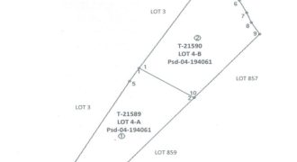 Foreclosed Agricultural Lot in Quezon City, Palawan · Lot 4-B (PDIC)