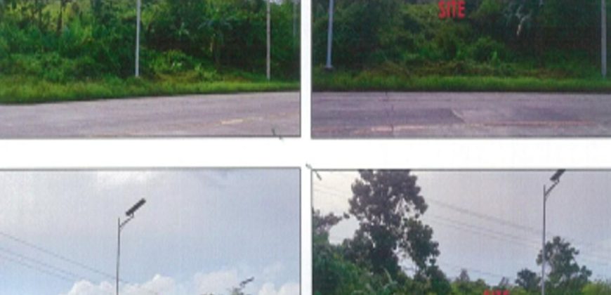 Foreclosed Agricultural Lot in Sofronio Española, Palawan · Lot No. 260 (PDIC)