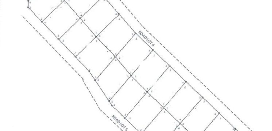 Foreclosed Property in Lupon, Davao Oriental – Kanale Subdivision · Lot 22 Block 5 (PDIC)