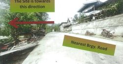 Foreclosed Agricultural Lot in Naguilian, La Union · Lot No. 309-A (PDIC)