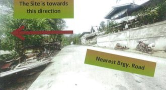Foreclosed Agricultural Lot in Naguilian, La Union · Lot No. 309-A (PDIC)