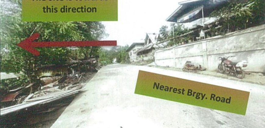 Foreclosed Agricultural Lot in Naguilian, La Union · Lot No. 309-A (PDIC)