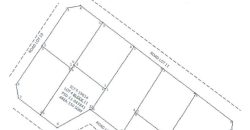 Foreclosed Property in Lupon, Davao Oriental – Kanale Subdivision · Lot 4 Block 11 (PDIC)