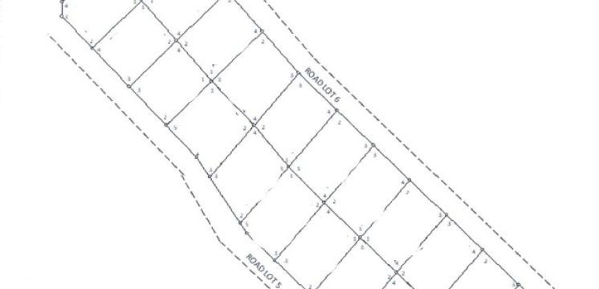 Foreclosed Property in Lupon, Davao Oriental – Kanale Subdivision · Lot 21 Block 5 (PDIC)