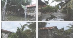 Foreclosed Property in Lupon, Davao Oriental – Kanale Subdivision · Lot 2 Block 7 (PDIC)