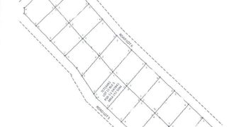 Foreclosed Property in Lupon, Davao Oriental – Kanale Subdivision · Lot 12 Block 5 (PDIC)
