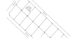 Foreclosed Property in Lupon, Davao Oriental – Kanale Subdivision · Lot 3 Block 7 (PDIC)