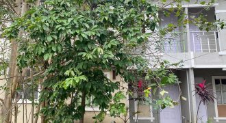Foreclosed House and Lot in General Trias City