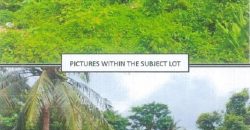 Foreclosed Residential Lot in Lumban, Laguna (PDIC)