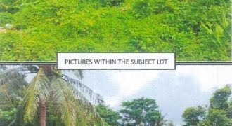 Foreclosed Residential Lot in Lumban, Laguna