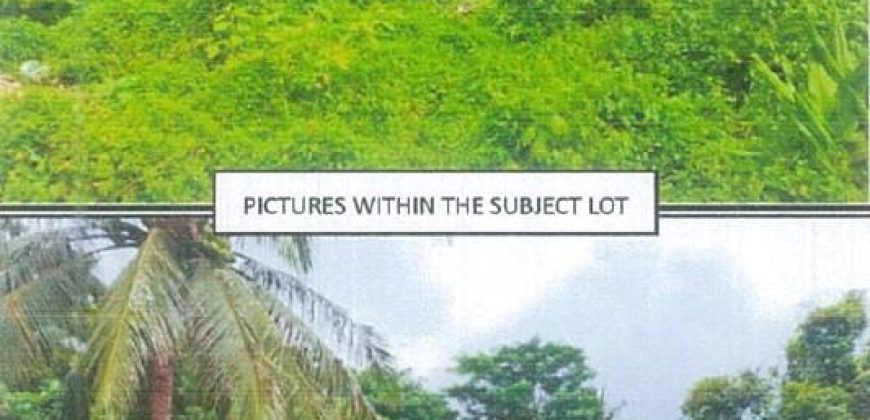 Foreclosed Residential Lot in Lumban, Laguna (PDIC)