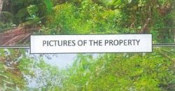 Foreclosed Agricultural Lot in Guinayangan, Quezon