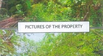 Foreclosed Agricultural Lot in Guinayangan, Quezon (PDIC)