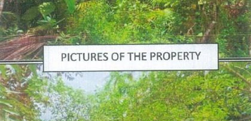 Foreclosed Agricultural Lot in Guinayangan, Quezon