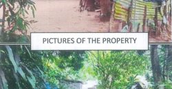 Foreclosed Property in Tagkawayan, Maguindanao (PDIC)