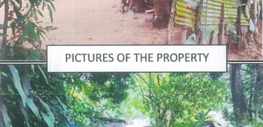 Foreclosed Property in Tagkawayan, Maguindanao (PDIC)
