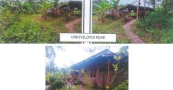 Foreclosed Property in Tagkawayan, Quezon