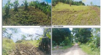 Foreclosed Agricultural Lot in Lal-Lo, Cagayan (PDIC)