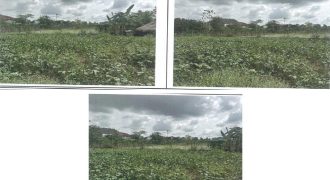 Foreclosed Agricultural Lot in Naguilian, La Union · Lot 11251-C (PDIC)