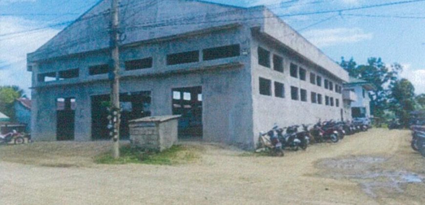 Foreclosed Agricultural Lot in Baggao, Cagayan