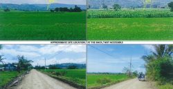 Foreclosed Agricultural Lot in Baggao, Cagayan · Lot 846 (PDIC)