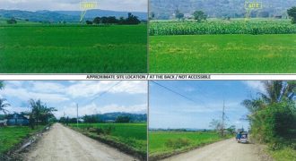 Foreclosed Agricultural Lot in Baggao, Cagayan · Lot 846 (PDIC)