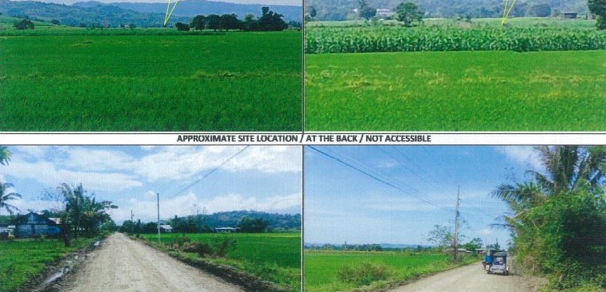 Foreclosed Agricultural Lot in Baggao, Cagayan · Lot 846 (PDIC)