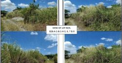 Foreclosed Residential Lot in Tarlac · Lot 828-A-1-B-1-H-8 (PDIC)
