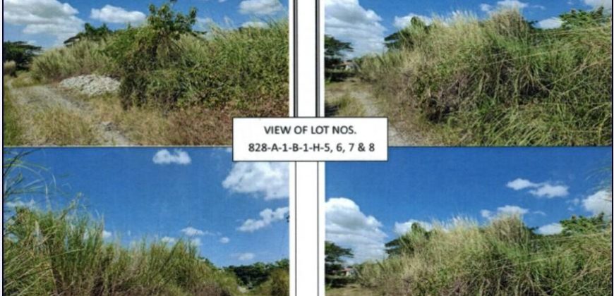 Foreclosed Residential Lot in Tarlac · Lot 828-A-1-B-1-H-8 (PDIC)