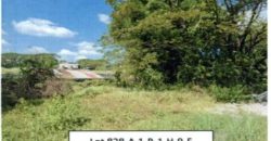 Foreclosed Residential Lot in Tarlac (PDIC)