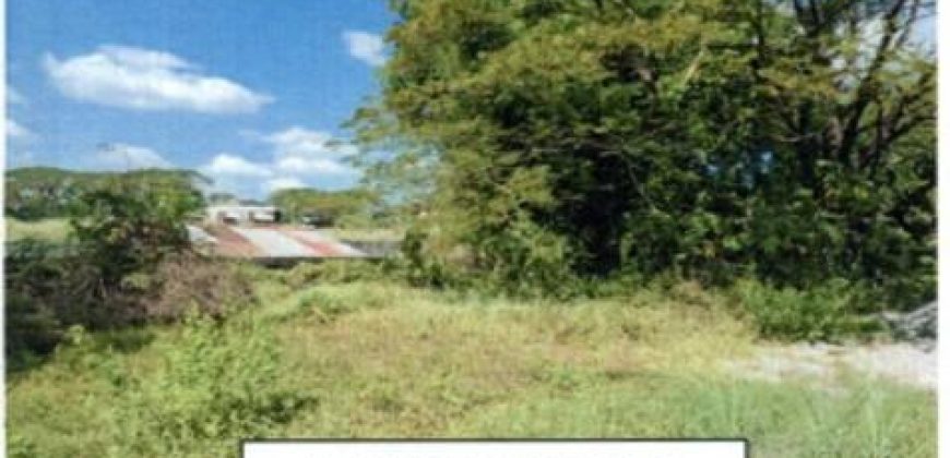 Foreclosed Residential Lot in Tarlac (PDIC)