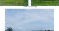 Foreclosed Agricultural Lot in Sto. Niño (Faire), Cagayan (PDIC)