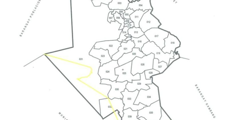 Foreclosed Agricultural Lot in Bakun, Benguet (PDIC)