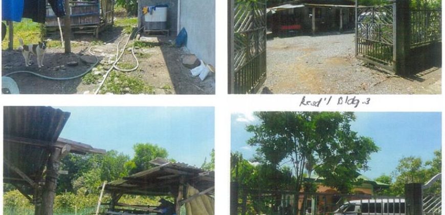Foreclosed Property in Balaoan, La Union · Lot No. 9710-A-2 (PDIC)
