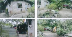 Foreclosed Property in Tuao, Cagayan · Lot 1007-F (PDIC)