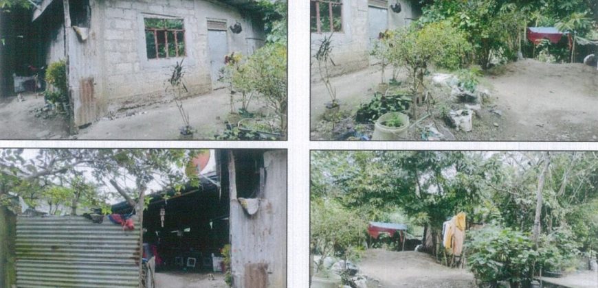 Foreclosed Property in Tuao, Cagayan · Lot 1007-F (PDIC)