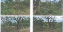 Foreclosed Property in Norzagaray, Bulacan (PDIC)