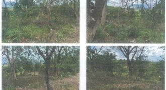 Foreclosed Property in Norzagaray, Bulacan (PDIC)