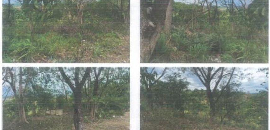 Foreclosed Property in Norzagaray, Bulacan (PDIC)