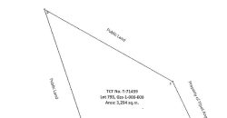 Foreclosed Agricultural Lot in Buguias, Benguet · Lot No. 793 (PDIC)