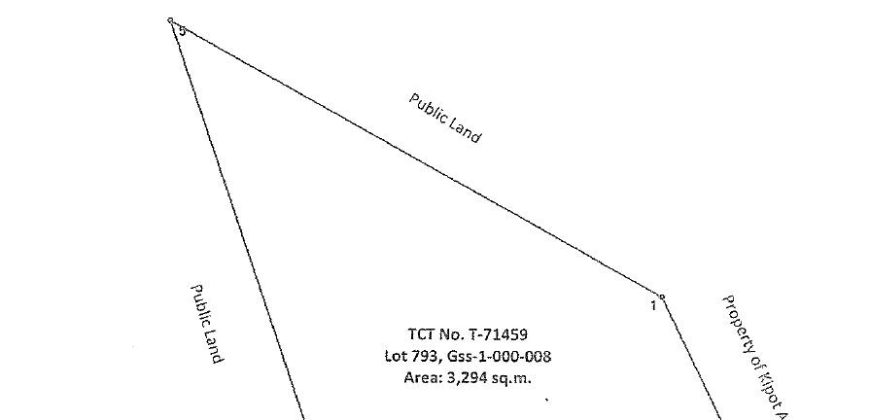 Foreclosed Agricultural Lot in Buguias, Benguet · Lot No. 793 (PDIC)