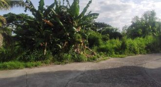 Foreclosed Residential Lot in Tarlac City