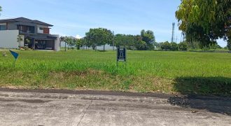 Foreclosed Residential Lot in Talisay City
