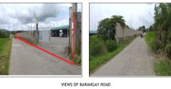 Foreclosed House and Lot in Isabela (Asia United Bank)