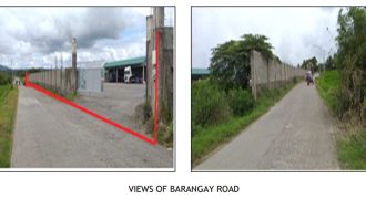 Foreclosed House and Lot in Isabela (Asia United Bank)