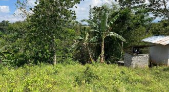 Foreclosed Farm Property in Manolo Fortich, Bukidnon (Metrobank)