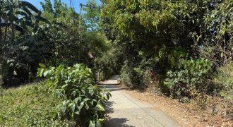 Foreclosed Residential Lot in Ibaan, Batangas